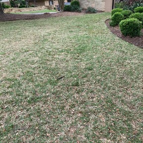 Leaf Removal by River City Lawn Service reviewed on September 27, 2025