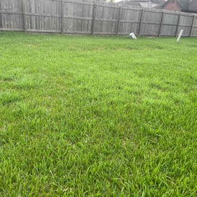 grass cutting by Unique Landscaping reviewed on June 2, 2024