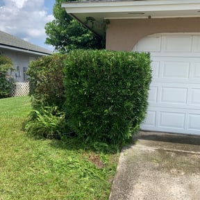 Bush Trimming by Andrews Landscaping reviewed on August 21, 2025