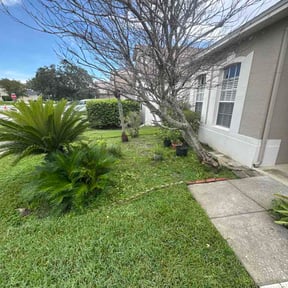 Flower Bed Weeding by Escobar Lawn Care services LLC reviewed on August 15, 2026