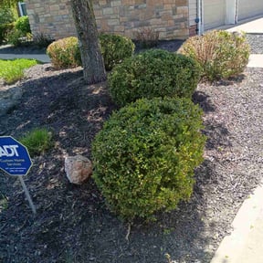 Bush Trimming by LuJacks Services reviewed on August 15, 2025