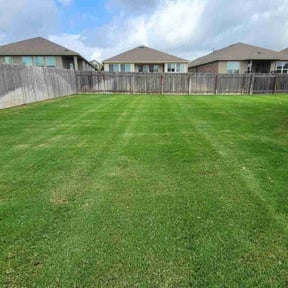 landscaping by Wildflower Lawn Care Company reviewed on November 24, 2025