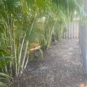 Bush Trimming by Up2Date Management Service's LLC.., reviewed on February 20, 2026