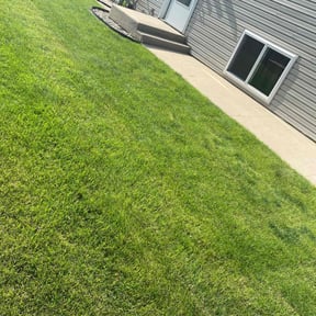 grass maintenance by B&W Services reviewed on July 23, 2025