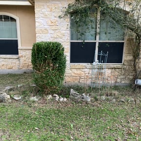 Bush Trimming by E3landscaping reviewed on August 15, 2025
