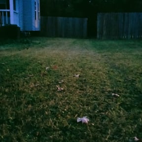 Bush Trimming by Mid-Atlantic Home Maintenance reviewed on August 19, 2025