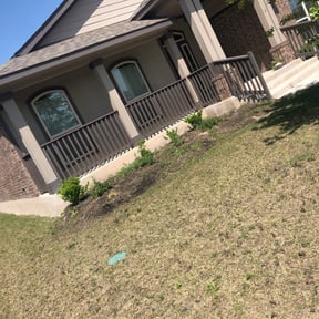 Bush Trimming by Grasman LLC reviewed on August 15, 2025