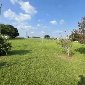 yard care by Green Hands Landscaping reviewed on November 23, 2025