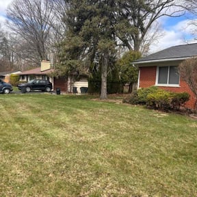 Leaf Removal by The More You Mow reviewed on August 15, 2025