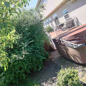 Bush Trimming by Affluere Lawncare reviewed on May 31, 2026