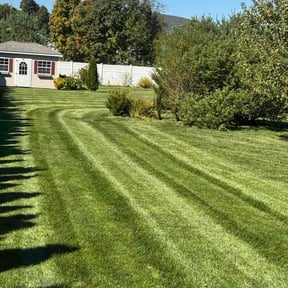 Weeding by Jaimel Peace reviewed on May 18, 2022