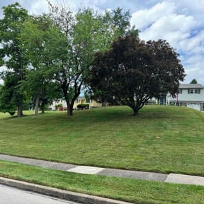 residential landscaping by Lawn Kingz reviewed on August 21, 2025