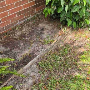 Flower Bed Weeding by More Clean Pools LLC reviewed on July 17, 2026