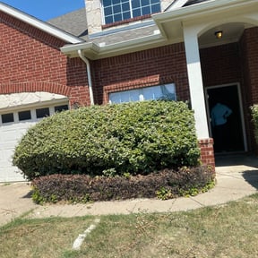 Bush Trimming by Herrera landscaping reviewed on August 21, 2025