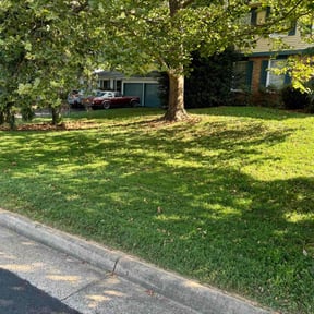 landscaping services by B Dalton machine lawn care reviewed on August 17, 2025