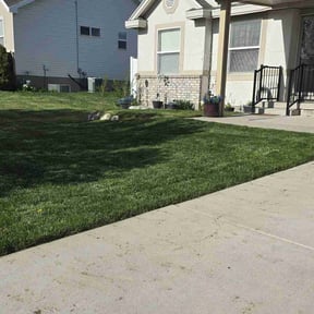residential landscaping by Land-Co reviewed on August 21, 2025