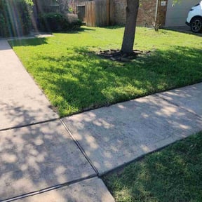 landscaping by Go GREEN reviewed on August 20, 2025