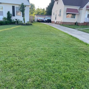 landscape maintenance by Tefel rivera reviewed on August 16, 2025