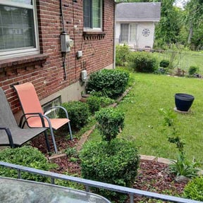 Bush Trimming by Wilson Lawn Care reviewed on May 1, 2026