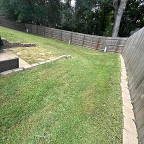 Leaf Removal by NIKA LLC reviewed on July 30, 2026