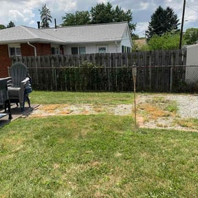 Bush Trimming by The Chosen LawnCare reviewed on July 4, 2026