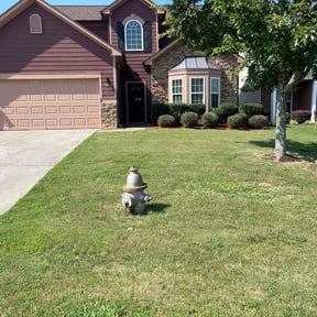 Bush Trimming by Navarro Land Care reviewed on August 17, 2025