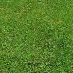 yard maintenance by Hugo Lopez Landscaping reviewed on August 27, 2024