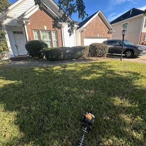 Bush Trimming by Stars and Stripes lawn service LLC reviewed on November 10, 2025