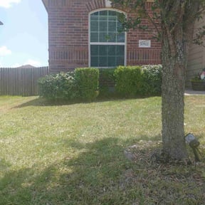 Bush Trimming by Jose Landscaping. reviewed on May 1, 2024