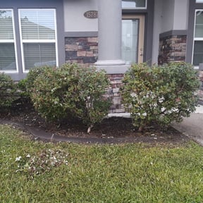 Bush Trimming by CMAssociation reviewed on August 16, 2025