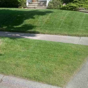 gardening service by A cut above reviewed on August 17, 2025