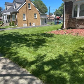 landscaping services by Davis Property Maintenance reviewed on August 21, 2025