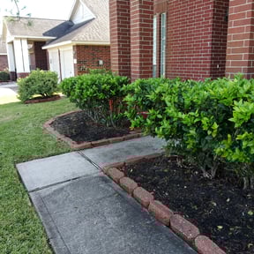 Flower Bed Weeding by Denali Lawn Pro reviewed on August 21, 2025