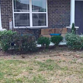 Bush Trimming by Nicholas  Garbooshian reviewed on December 5, 2025