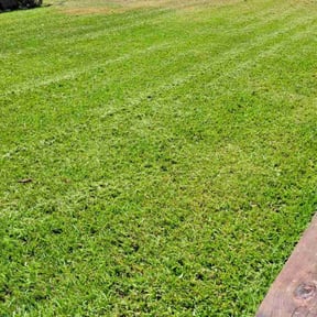 gardening service by Sunshine lawn and garden llc reviewed on August 19, 2025