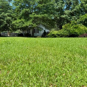 yard maintenance by The Shaquille Davis Group llc. reviewed on August 18, 2025