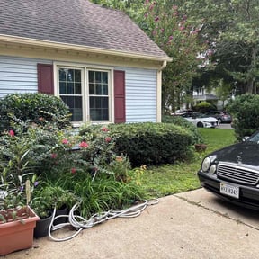 Bush Trimming by Scott Bensing Lawn Care reviewed on February 1, 2022