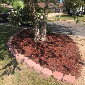 Flower Bed Weeding by High Octane reviewed on August 18, 2025