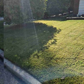 turf care by B &amp; N Straight Edge Lawn Care LLC reviewed on June 25, 2025