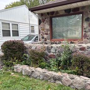 Bush Trimming by John Taylor reviewed on November 5, 2025