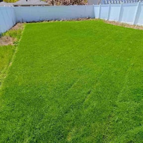 yard work by Tamara butler reviewed on August 17, 2025