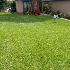yard service by JJ Lawn and Tree Trimming reviewed on August 20, 2025