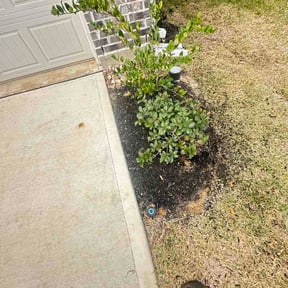 Flower Bed Weeding by Salaam Lawn Care reviewed on September 17, 2026