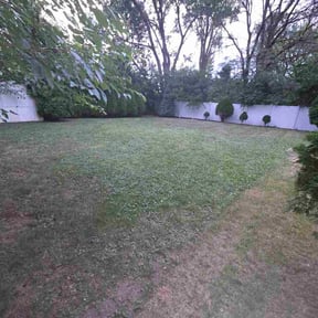 Bush Trimming by Nick and Luca Lawn Services LLC reviewed on August 20, 2026