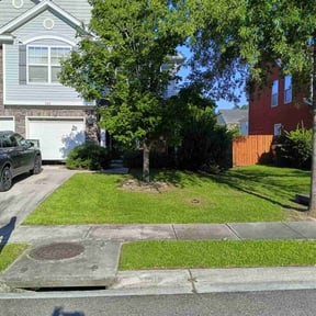landscaping services by Morris Landscaping Services reviewed on August 18, 2025