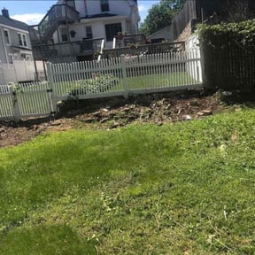 gardening service by Olguin Property Management reviewed on November 24, 2025