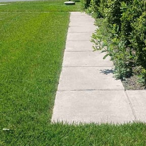 yard work by MVP Lawn & Landscaping reviewed on August 15, 2025