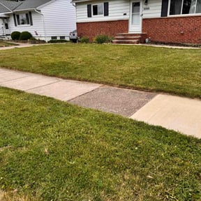 grass cutting by First Choice Landscaping of St Augustine reviewed on October 9, 2023