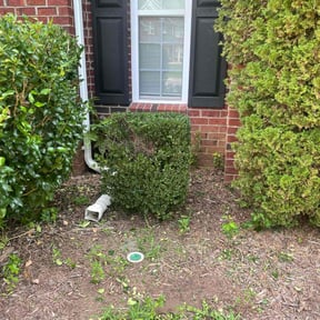 Bush Trimming by Forever Green FG LLC reviewed on September 3, 2024