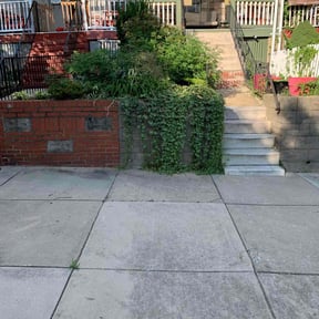Bush Trimming by Green Day Lawn Service reviewed on August 15, 2025